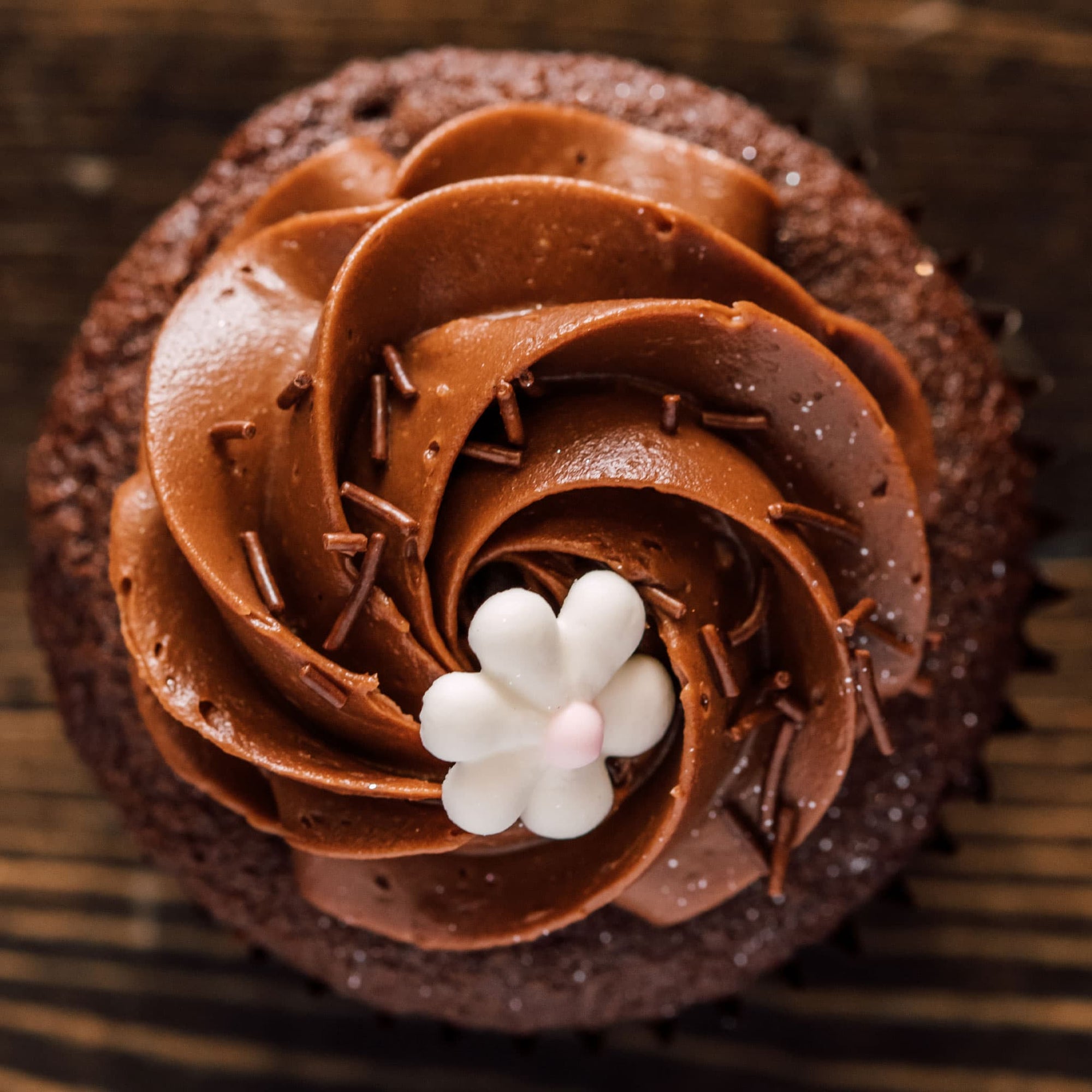 Chocolate Chocolate Cupcakes Vanilla Bean Bakery & Cafe